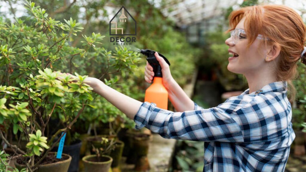 Tips for Making the Most of Decadgarden