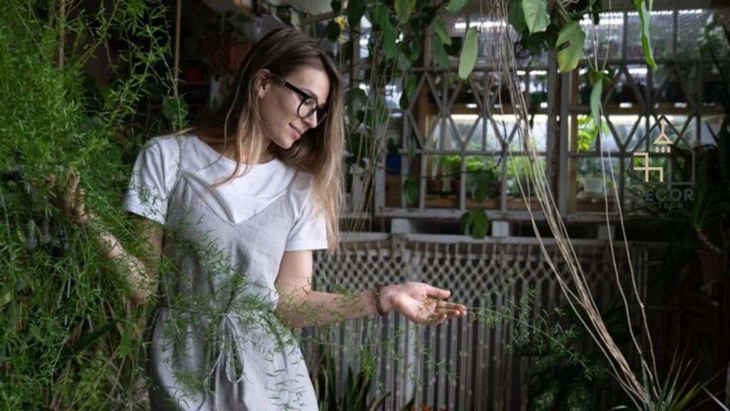 Why Choose Garden Tips Decoradhouse