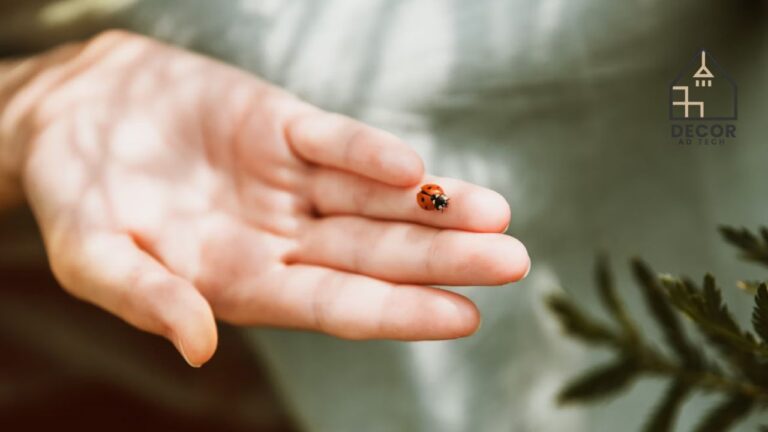 Tiny Black Bugs in Bathroom Causes & Solutions